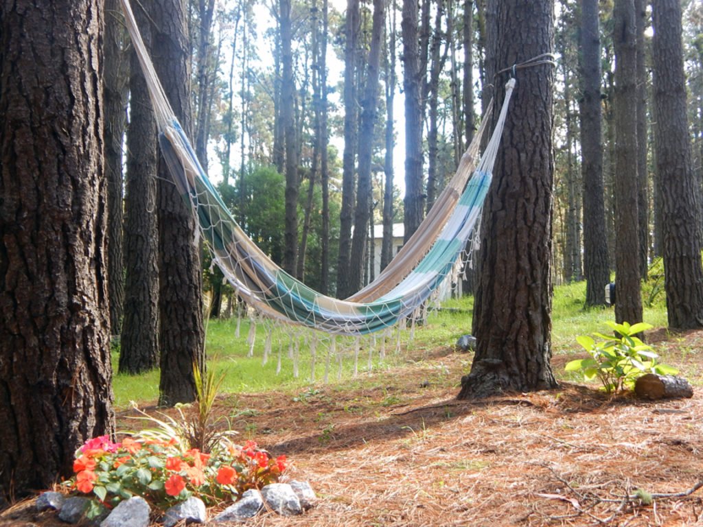 bosque